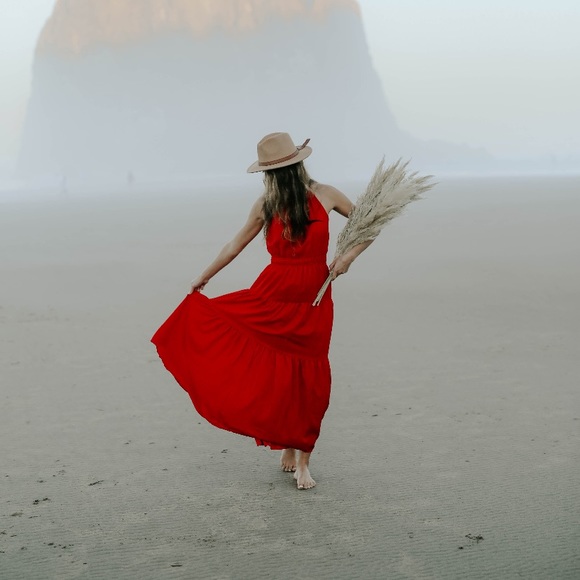 PAMPAS GRASS dried natural grasses 3 STEMS - Picture 2 of 4